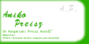 aniko preisz business card